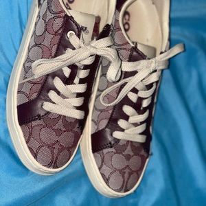 Clip Low Top Sneaker